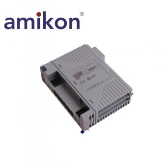 AAP135-S00 Analog Input Module