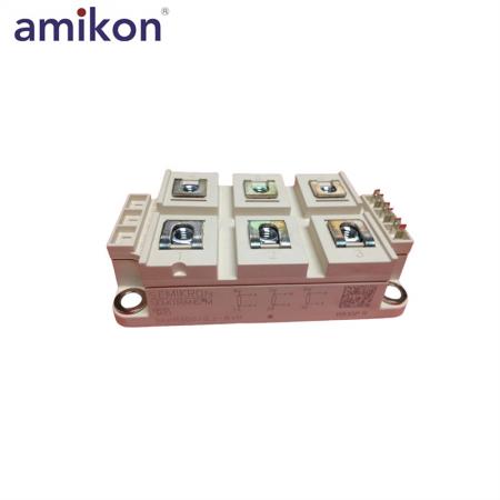 SKKR300/0.2-BVR