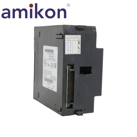 GE IC693PWR331E Power Supply Module