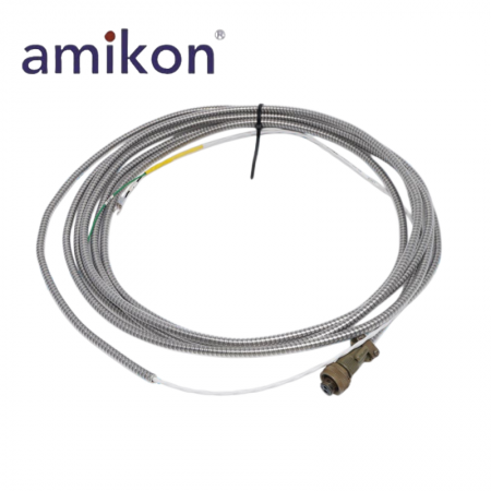 Standard ArmoredInterconnect Cable