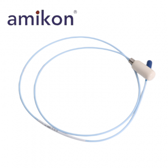 3300 Ceramic Capped Probe