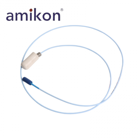 3300 Ceramic Capped Probe
